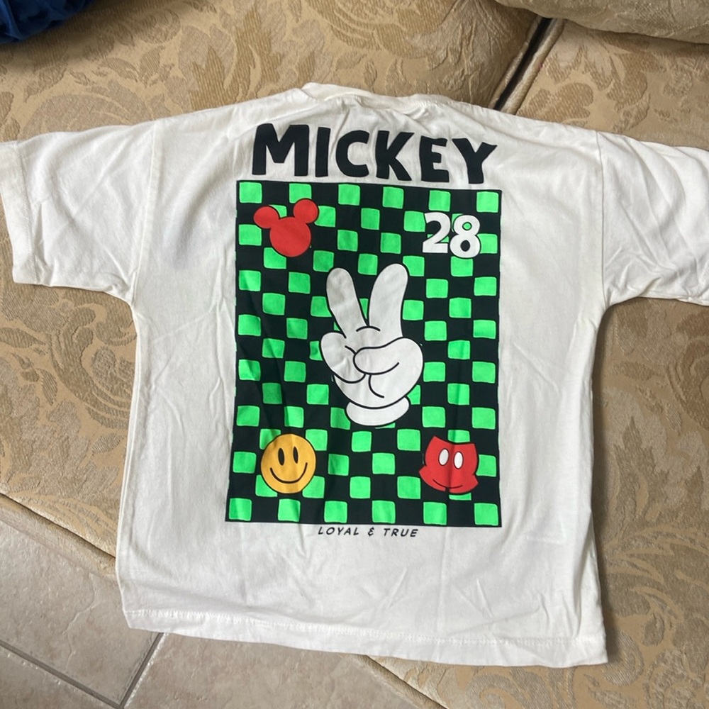 Zara Disney T-shirt